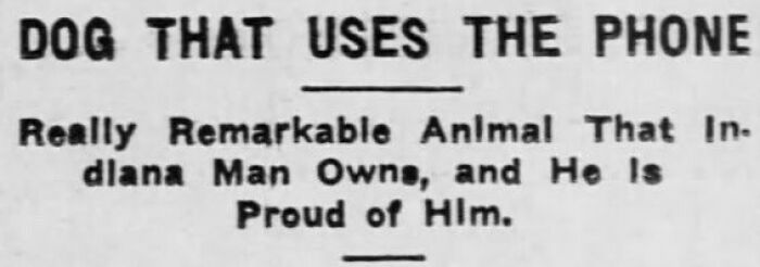 Newspaper headline about a dog that uses the phone in vintage clipping