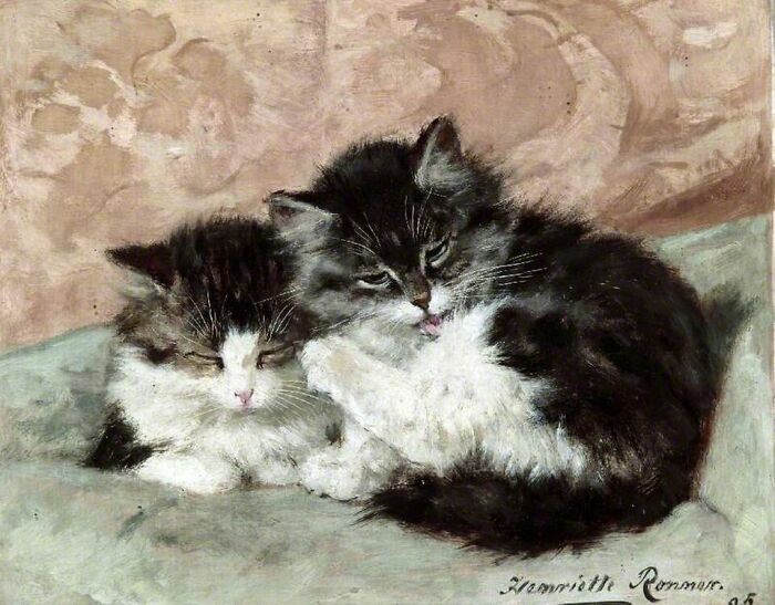 A 19th-century cat painting depicting two fluffy kittens; one is black and white, the other is tabby, grooming.