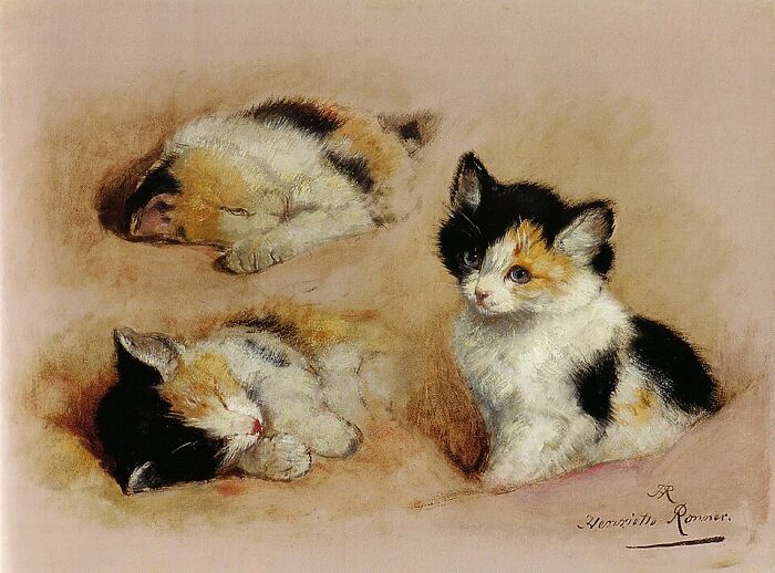 A 19th-century cat painting featuring three adorable kittens: two sleeping, one alert and gazing forward.