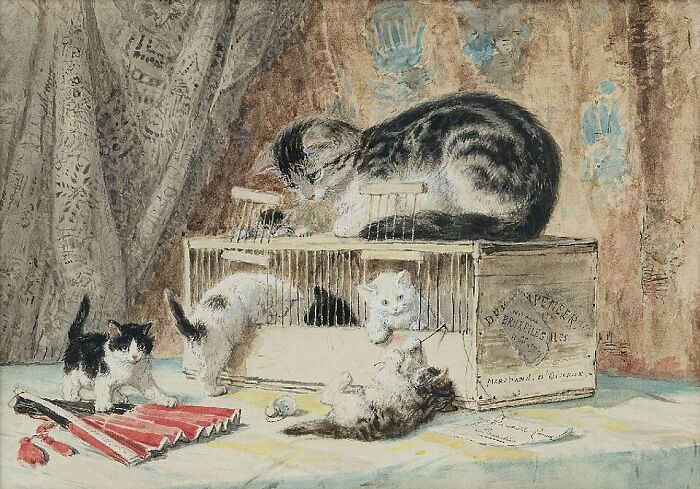 Artist's cat paintings: A 19th-century painting of kittens playing around a cage, one on top and others exploring.