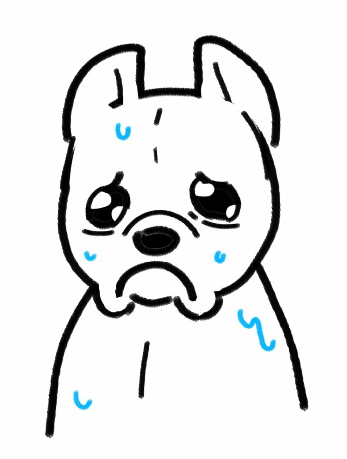 I Work At A Pet Store With A Dog Wash And Every Time I Have To Do Something While A Dog Is Being Bathed They Look At Me Like This The Whole Time