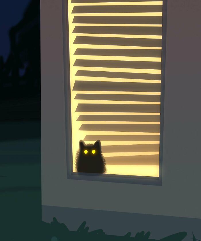 My Neighbor's Cat Likes To Stare At Us Through The Window