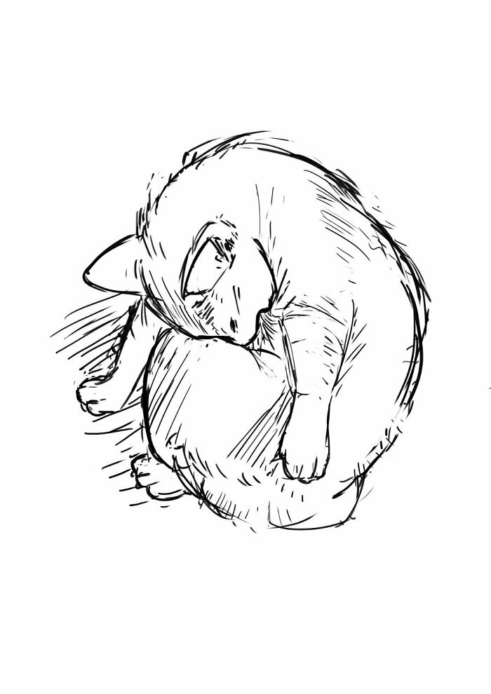 My Cat Grooming Itself