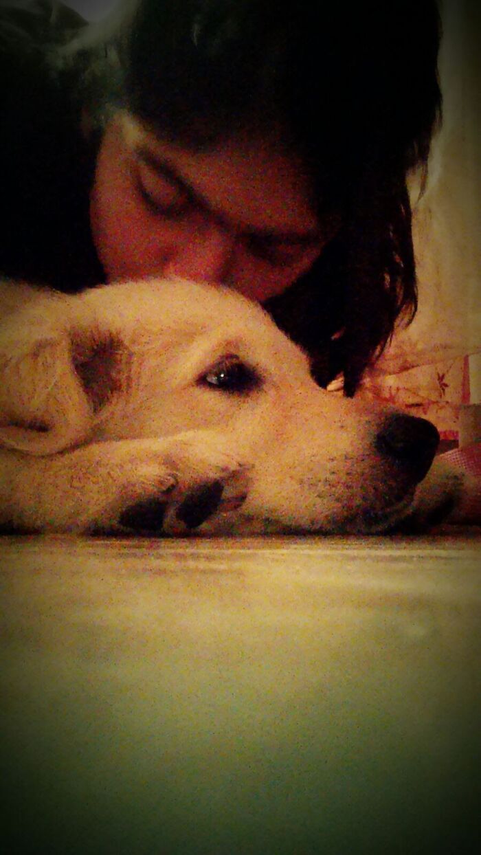 A woman affectionately kissing her dog, showcasing a deep bond to help other pet owners. A woman affectionately kissing her dog, showcasing a deep bond to help other pet owners.