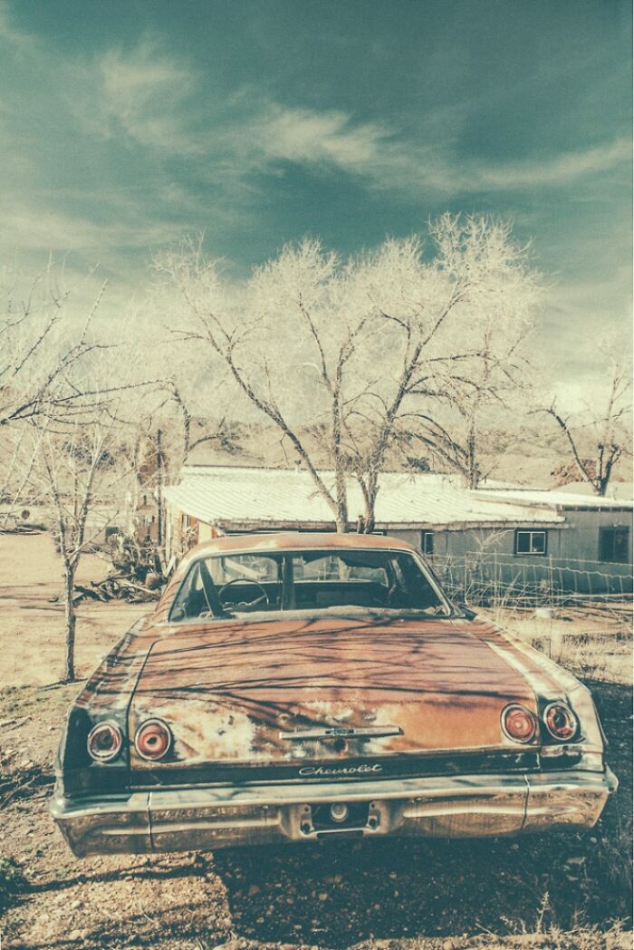 The rear view of a rusty, bygone American West Chevrolet car, parked outdoors with bare trees and distant buildings.