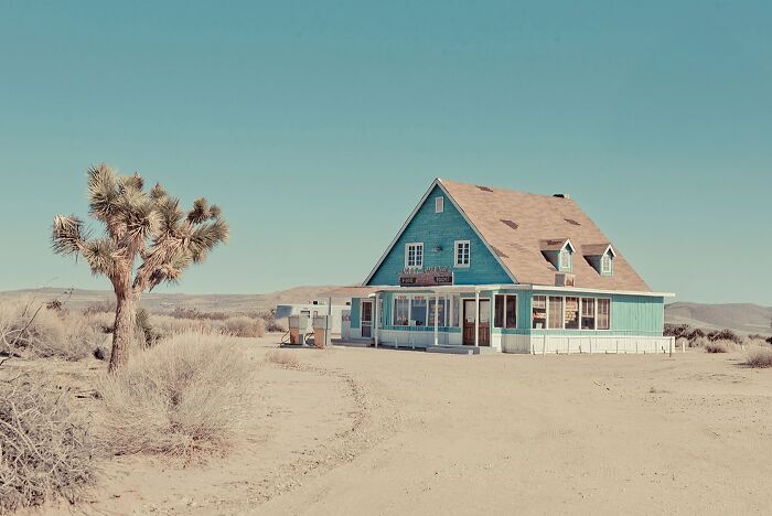 A turquoise house in a desolate landscape with a Joshua tree, representing the dusty American West.