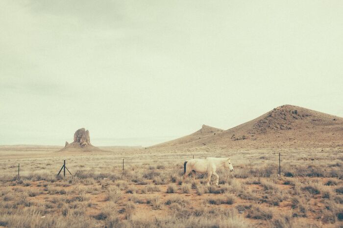 A white horse walks across a dry, grassy plain with distant mesas under a cloudy sky in the American West. Rusty and dusty remnants.