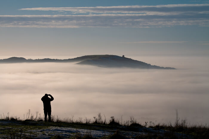 A silhouette of a person admiring a foggy landscape with hills, representing a winning photo from a competition celebrating animal conservation.