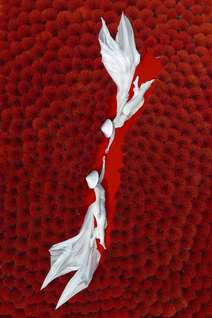 Surreal art expedition photo white robed figures reaching hands above dense red foliage