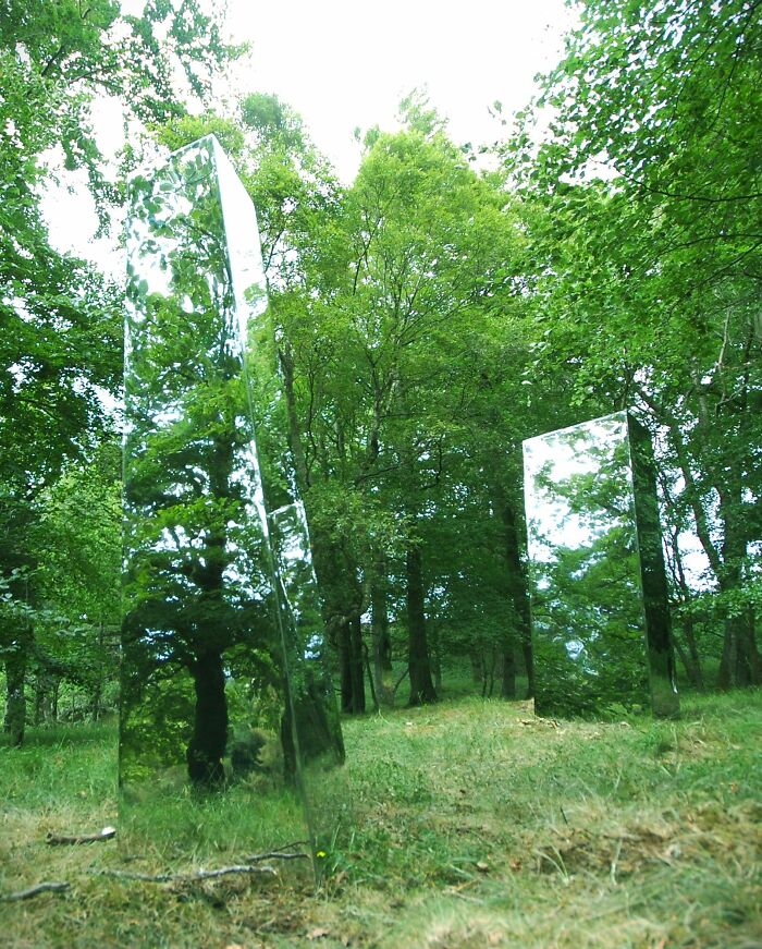 Reflective sculptures blending with green forest surroundings