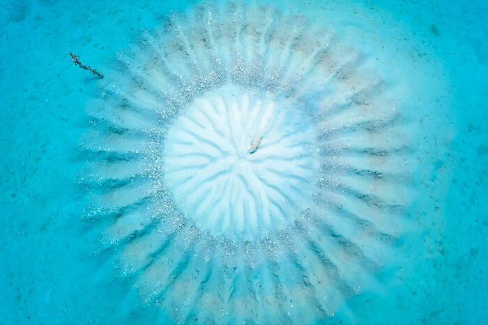 An aerial shot of a stunning circular sand pattern on a turquoise ocean floor, highlighted in the Ocean Photographer of the Year Awards.