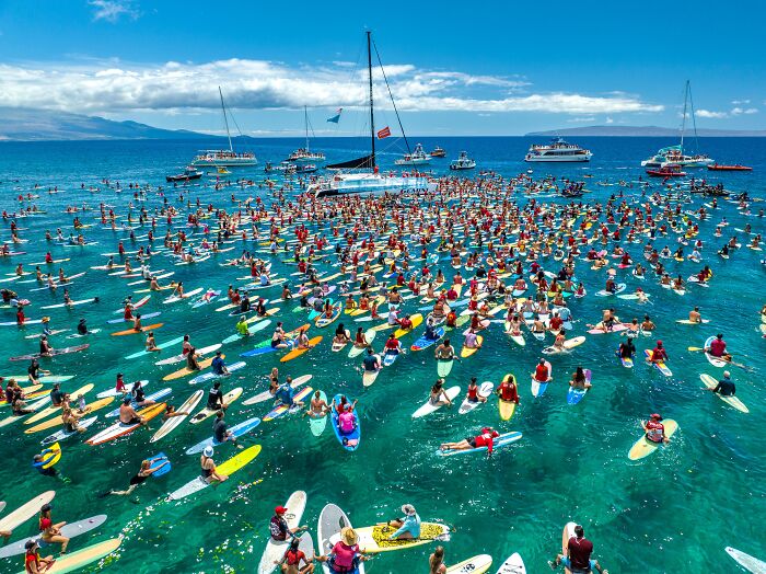A vibrant aerial view of hundreds of paddleboarders and boats in a clear blue ocean, celebrating the Ocean Photographer of the Year Awards.