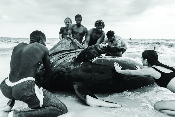 Black and white image of people on a beach attempting to rescue a beached whale. Ocean Photographer of the Year Awards.