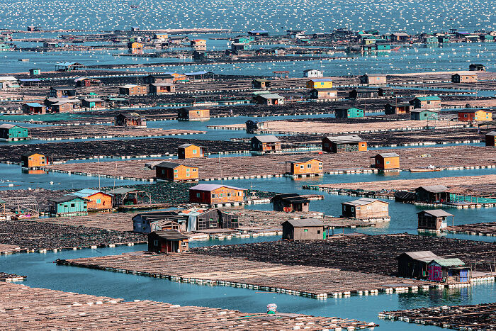 An aerial view of colorful floating houses and fish farms in the ocean, a winning image from the 2026 Ocean Photographer of the Year Awards.