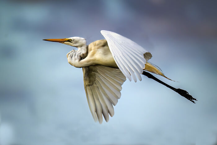 Off And Away By Gregory Tansell