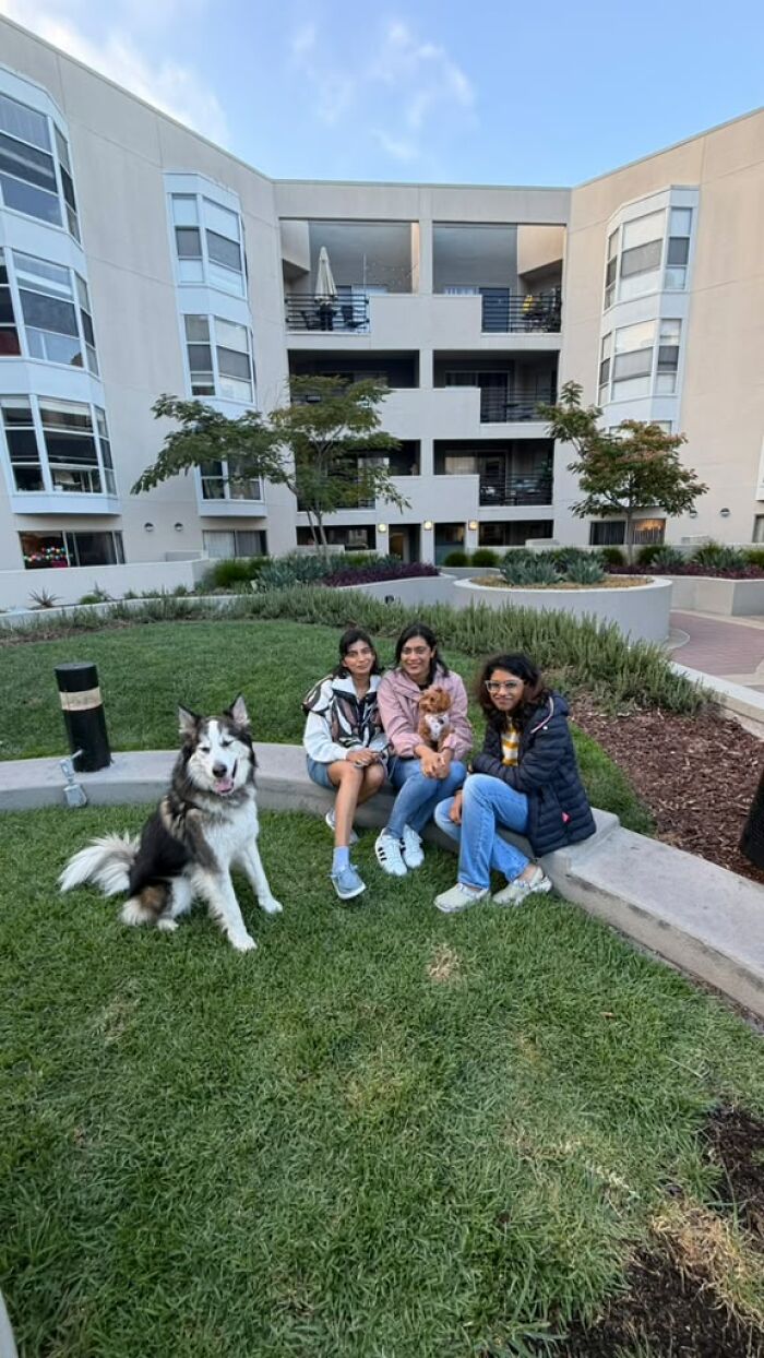 Three women and two dogs, a husky and a small brown dog, sitting outside a building, showing the pet owners community. Three women and two dogs, a husky and a small brown dog, sitting outside a building, showing the pet owners community.