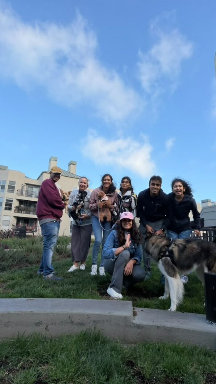 A group of pet owners and their dogs, fostering community for pet owners. A group of pet owners and their dogs, fostering community for pet owners.