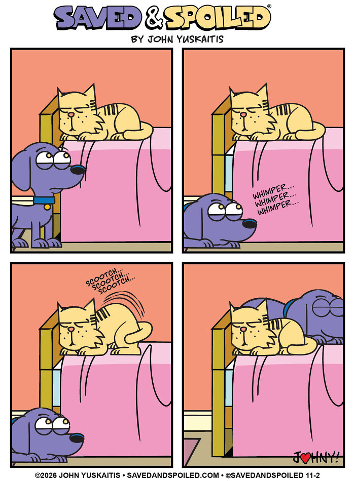 Cat scootching on bed with dog watching in dog and cat comics