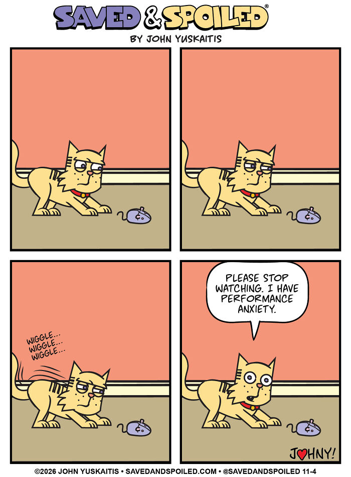 Cat with performance anxiety while hunting a toy mouse in dog and cat comics