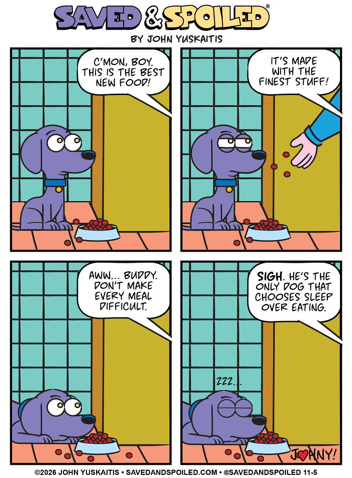 Dog ignoring new food, choosing sleep over eating in dog and cat comics