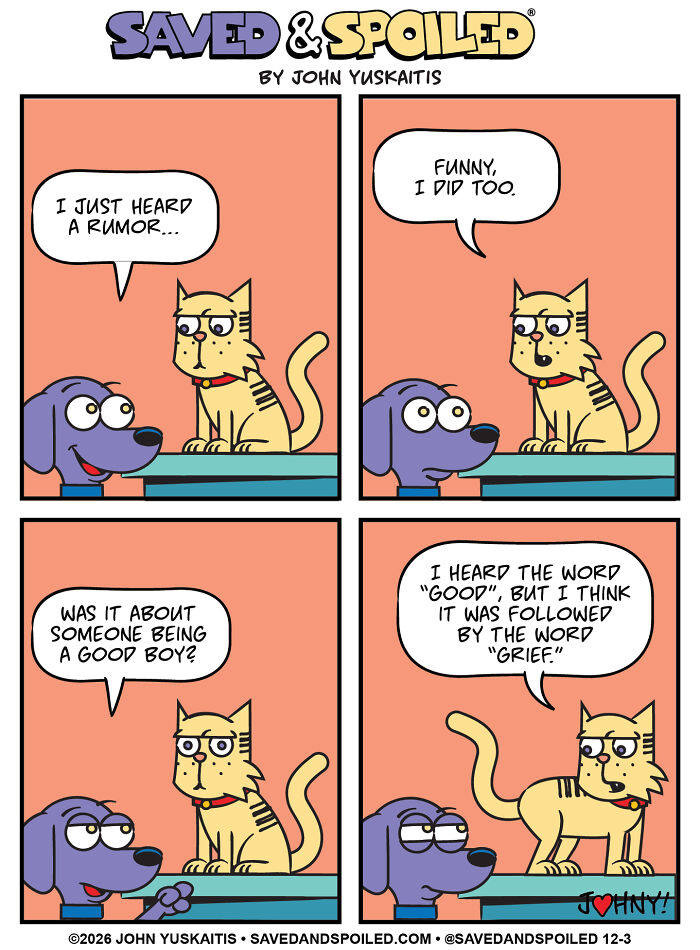 Dog and cat discussing rumors in comics about my dog and cat differences