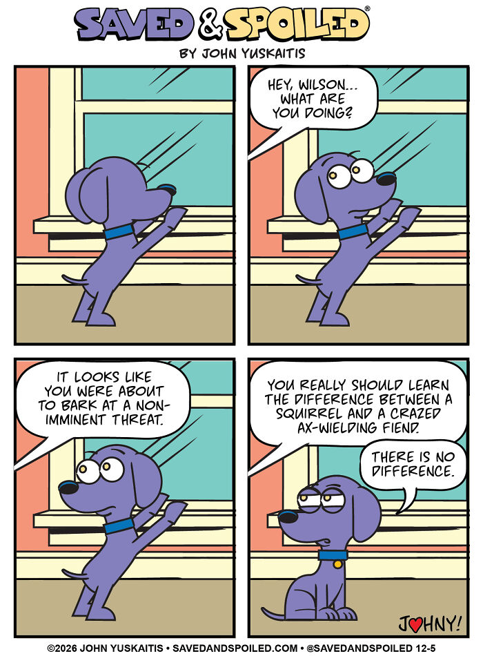 Dog barking at window in dog comics about my dog and cat differences