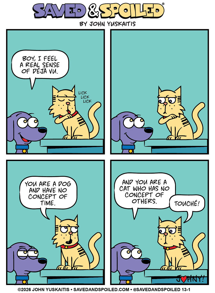 Dog and cat discuss time and empathy in comic about differences
