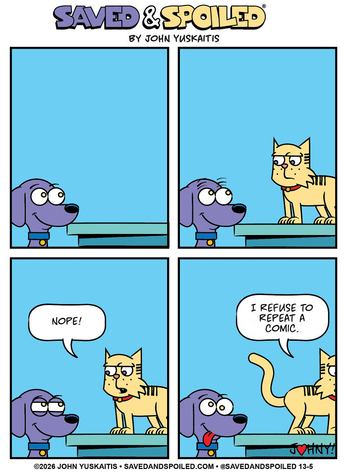 Dog insists cat refuses to repeat a comic strip in playful interaction