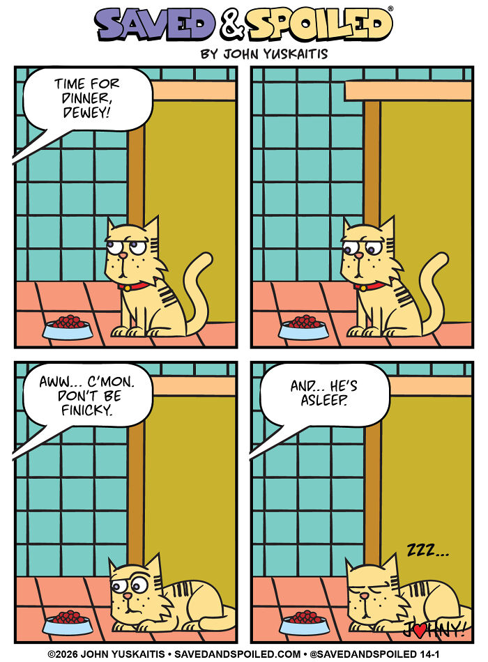 Cat ignores food bowl and falls asleep in comic about dog and cat differences