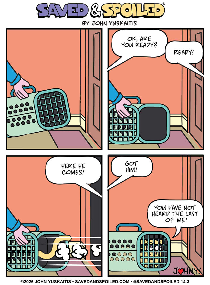 Cat escapes carrier in a chase scene from pet comics