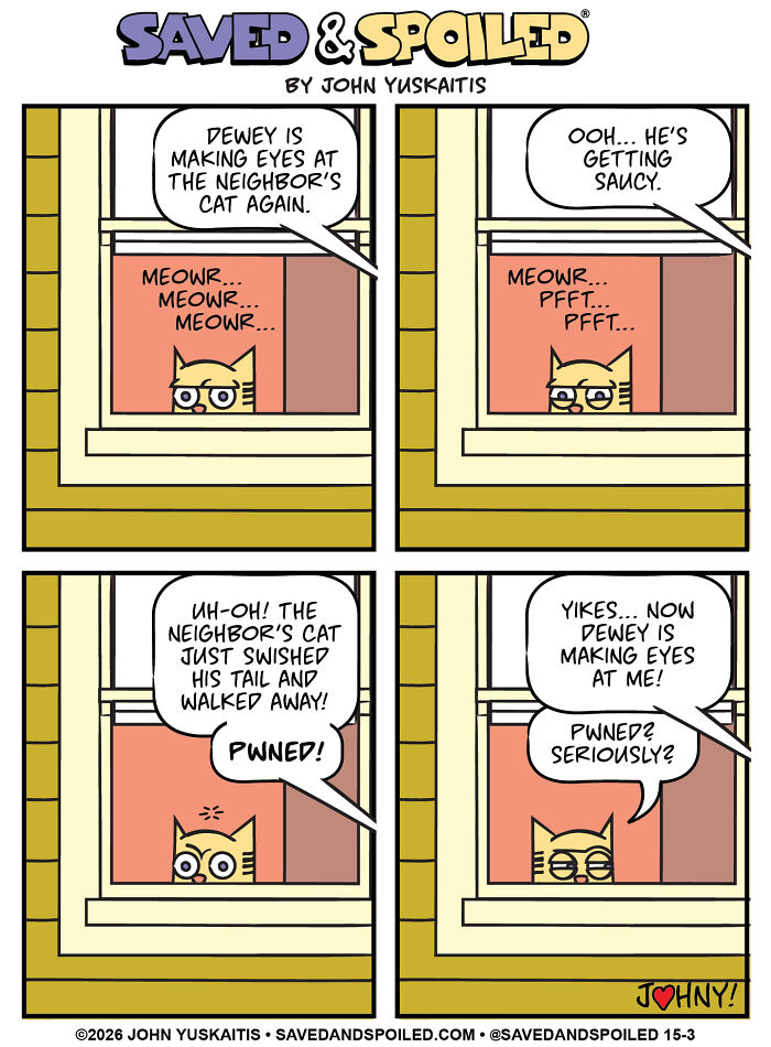 Cat talks about dog making eyes at neighbor cat in dog and cat comics