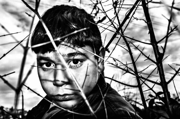 Murat Harmanlikli's street photo features a child's curious face peeking through thorny branches, reflecting childhood.