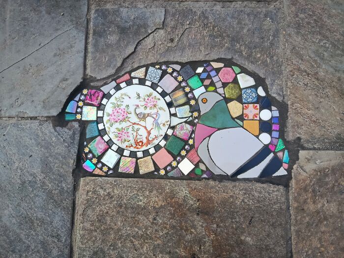 Pigeon Musette