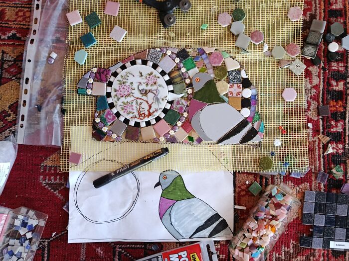 Pigeon Musette