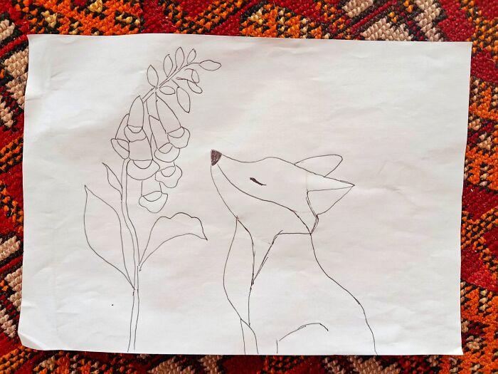 Renard Digitale Godrans