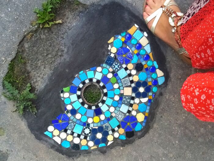 Fleurs Bleues