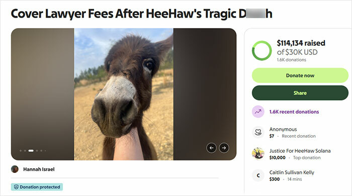 Officer Facing Backlash After Entering Family's Pasture Without Permission And Firing On Their Baby Pet Donkey Officer Facing Backlash After Entering Family's Pasture Without Permission And Firing On Their Baby Pet Donkey