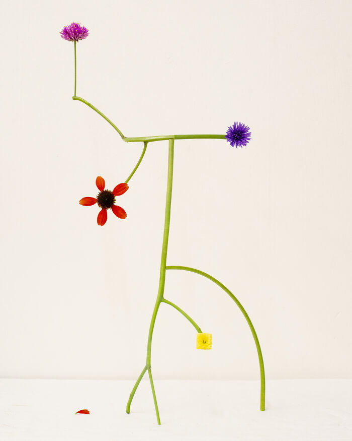 Jennifer Latour's photography features intricate flower compositions of pink, purple, and red flowers with a yellow block.