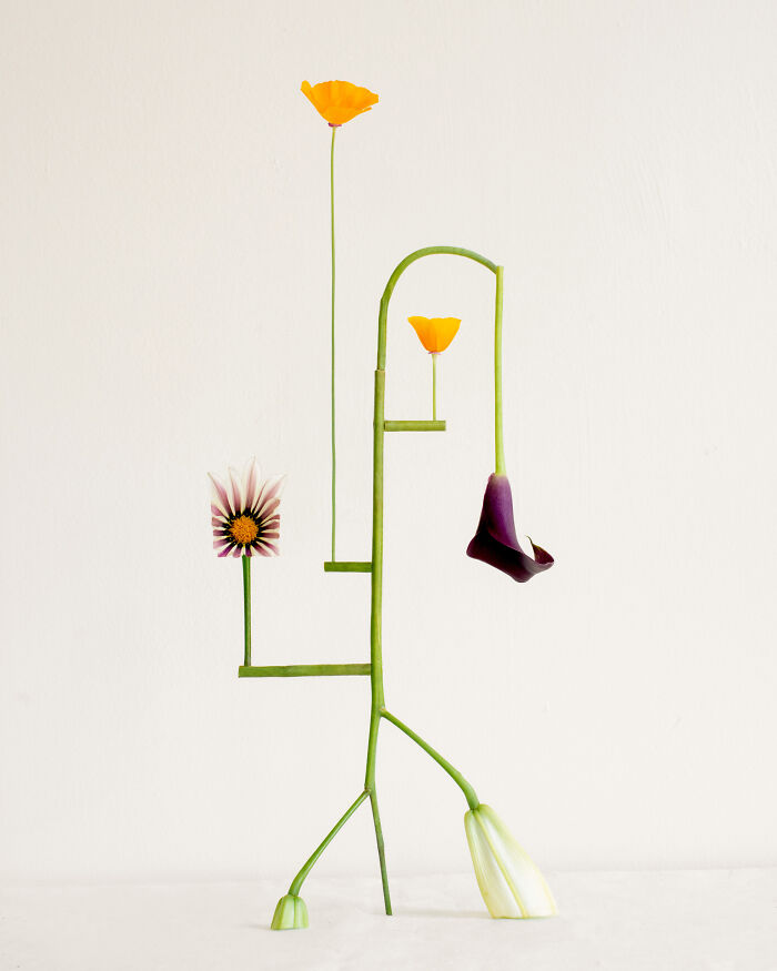 Intricate flower compositions by Jennifer Latour, with various colorful flowers arranged on a geometric green stem against a plain background.