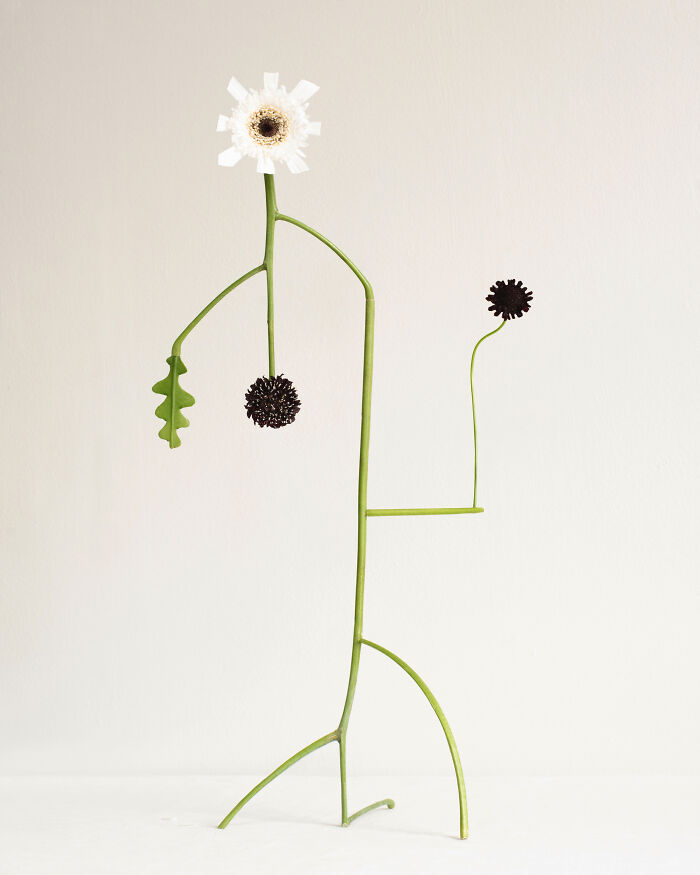 Jennifer Latour's photography highlights intricate flower compositions with a white gerbera, dark seeds, and green leaf.