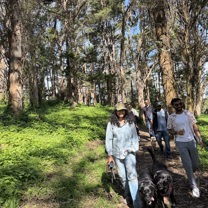 A group of pet owners walking their dogs through a forest, creating a community. A group of pet owners walking their dogs through a forest, creating a community.