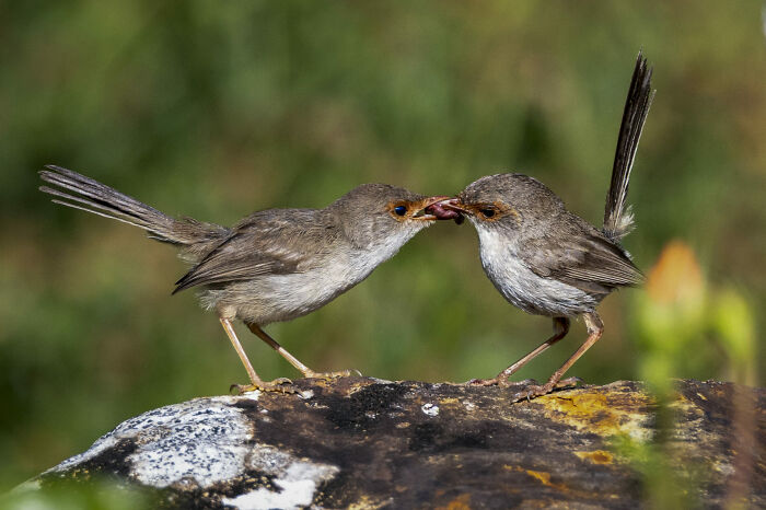 Sustenance By Heather Smith