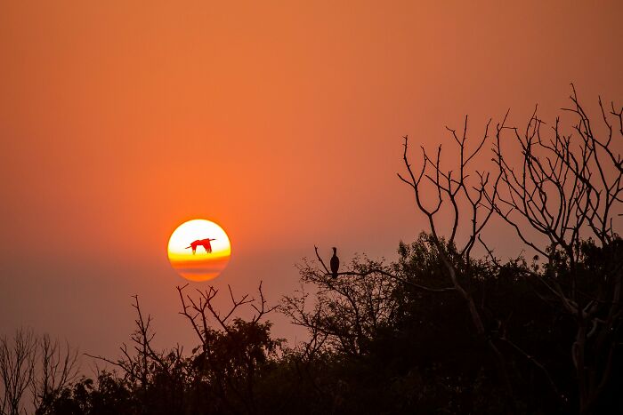 The Last Light By Pavan Prasad