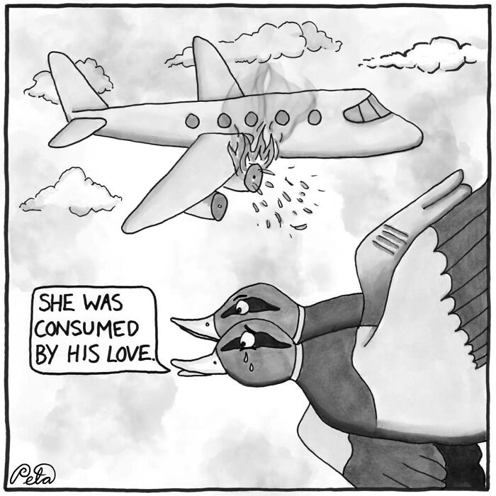 Comic of a burning plane with ducks flying by she was consumed by his love