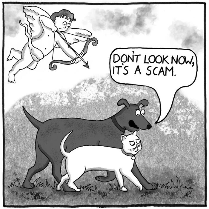 Single-panel comic showing dog and cat with cupid revealing love is a scam humor