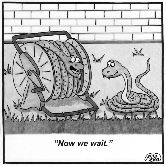 Single-panel comic featuring a snake and a hose reel in a humorous garden scene