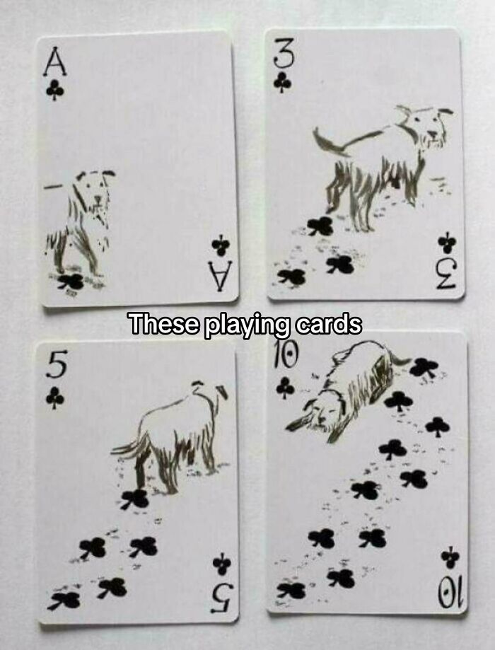 Playing cards featuring dogs with paw print trails