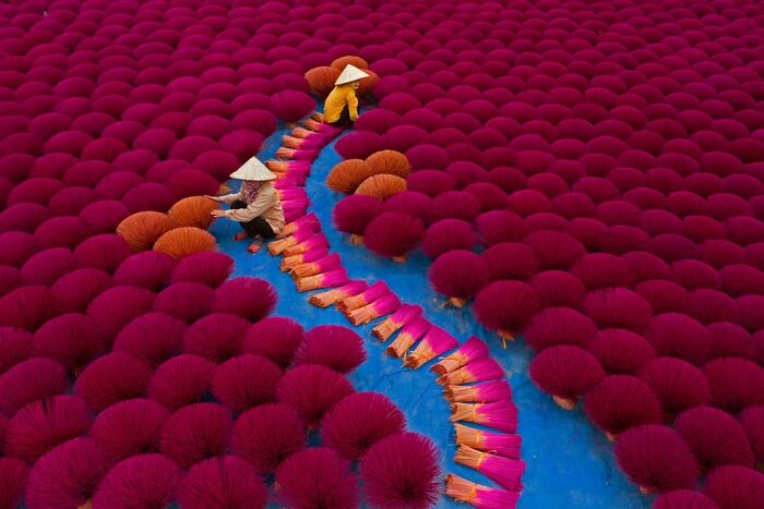 Two workers in conical hats arrange vibrant red incense sticks in a field, a remarkable travel photo.