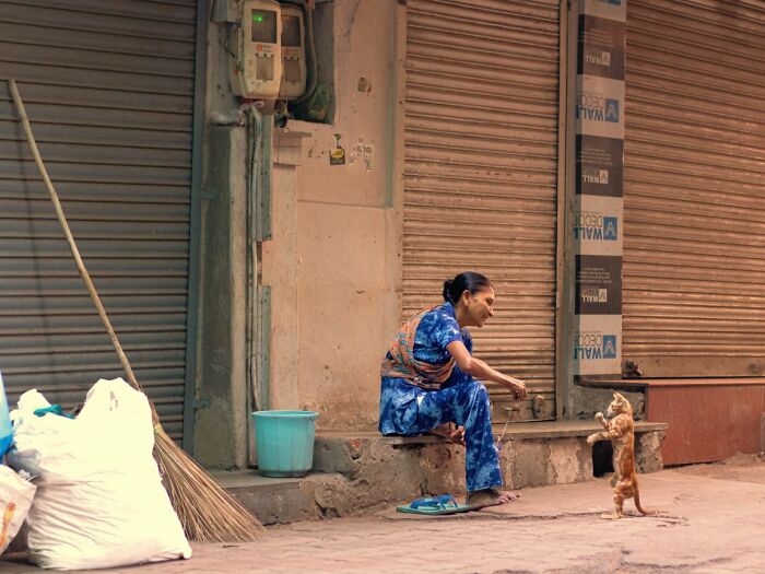 A candid street photo of a woman in blue clothes sitting on a stoop, interacting with a playful cat, for the URBAN Photo Awards.