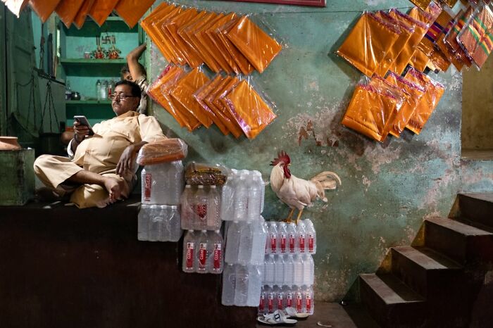 A candid street photo capturing a man relaxing in a shop with a rooster and bottled water for the URBAN Photo Awards.